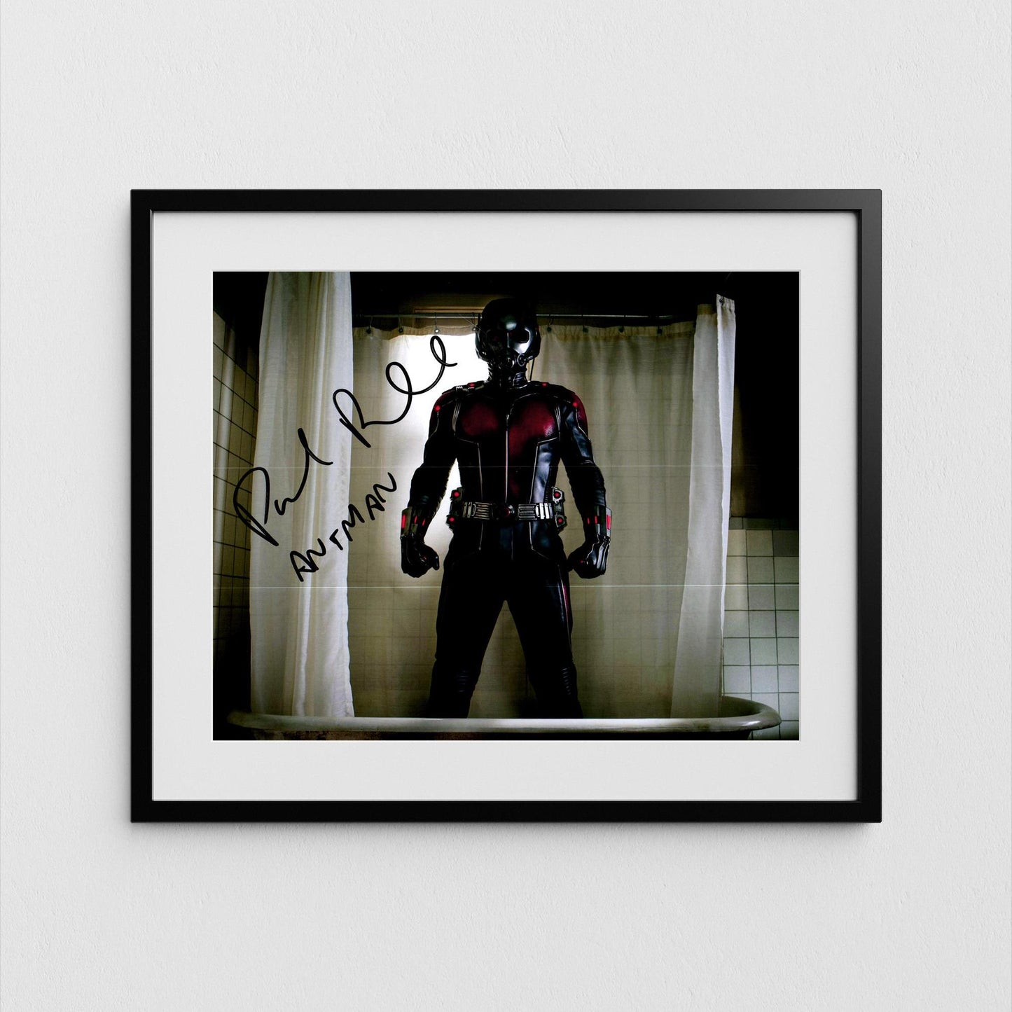 Paul Rudd Autograph Ant-Man Signed Poster Avengers Authentic Signature with COA